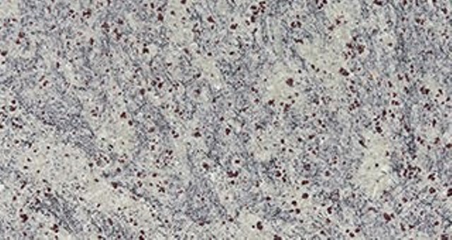 Granit New Kashmir White